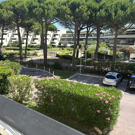 Lejlighed Climatise Avec Piscine Et Parking A Port Camargue - Fr-1-250-162